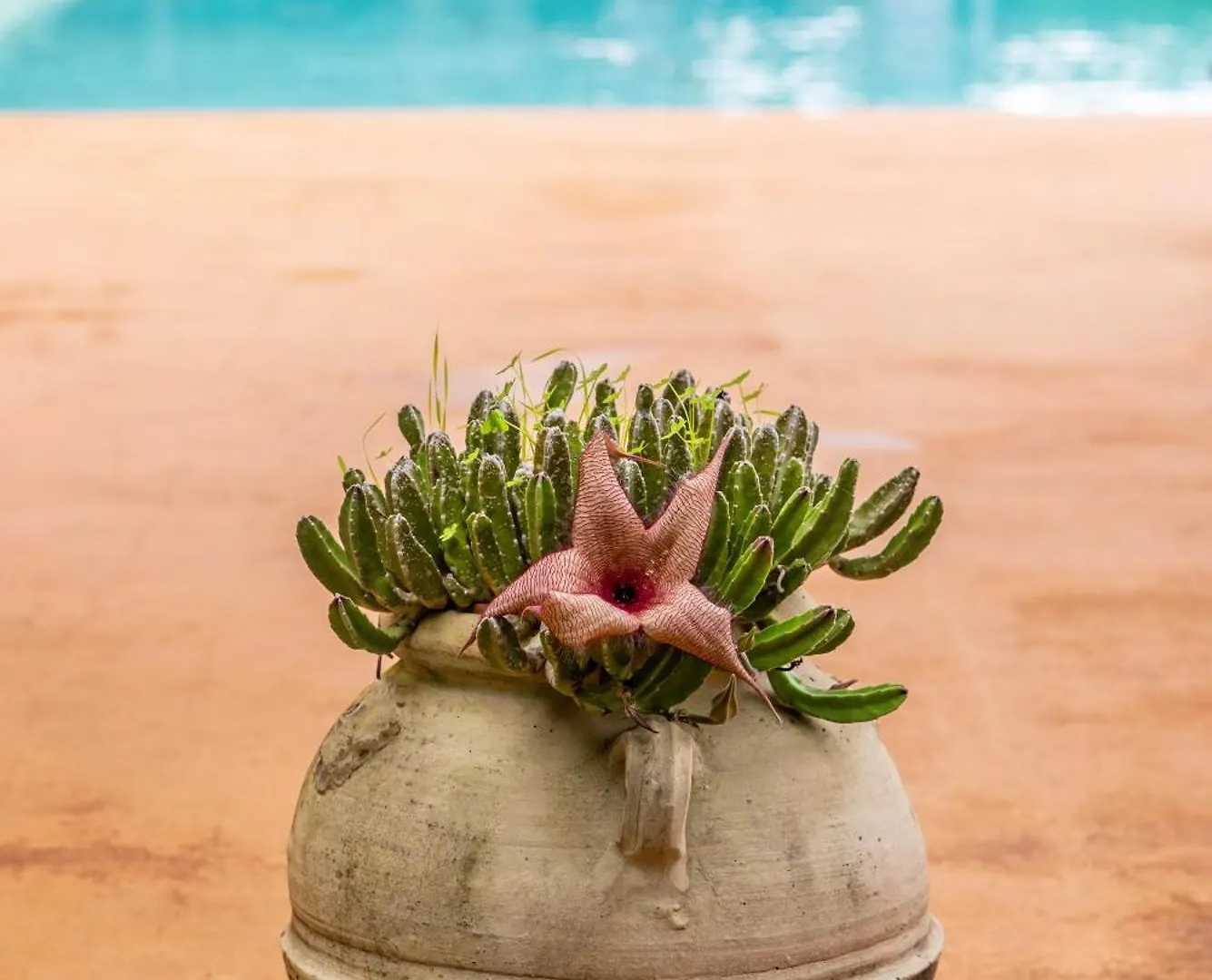 Villa Casa Panoramica Terrasini